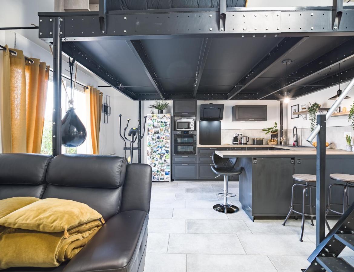 Loft Avec Jardin Et Parking Prive Apartment ทรัวส์ ภายนอก รูปภาพ